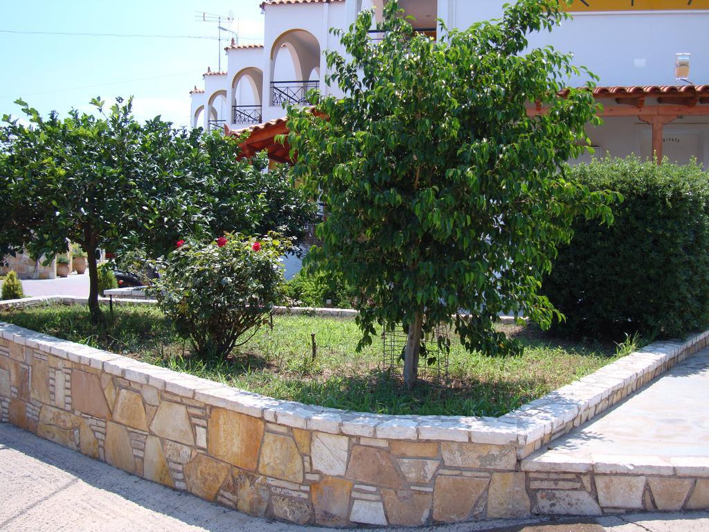 Aretousa Tolón Rum bild